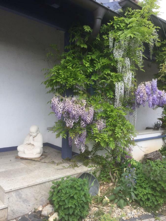 Gaensebluemchen 1 Apartment Daisy 1 Walsdorf  Eksteriør bilde