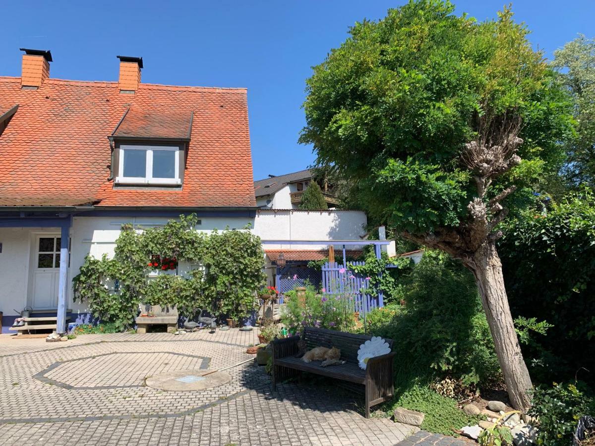 Gaensebluemchen 1 Apartment Daisy 1 Walsdorf  Eksteriør bilde
